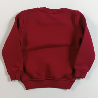 Толстовка для мальчика