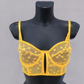 Бюстгальтер