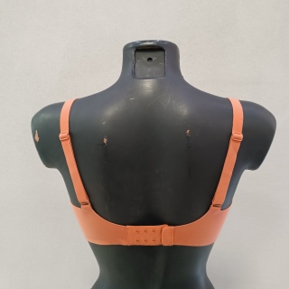 Бюстгальтер