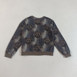 Толстовка для мальчика