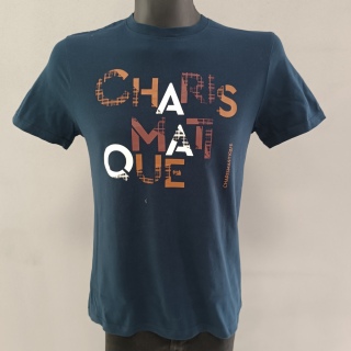 Футболка мужская